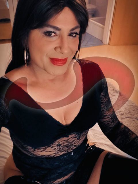 Transsexuelle | Shemales: Bild TS Miranda in Wien