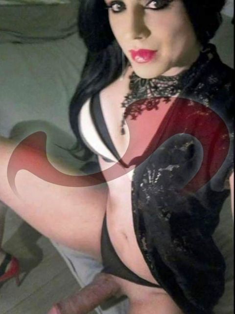 Transsexuelle | Shemales: Bild Trans Miranda! Ab 14.9.25 wieder im Love Haus Leoben ! in Leoben