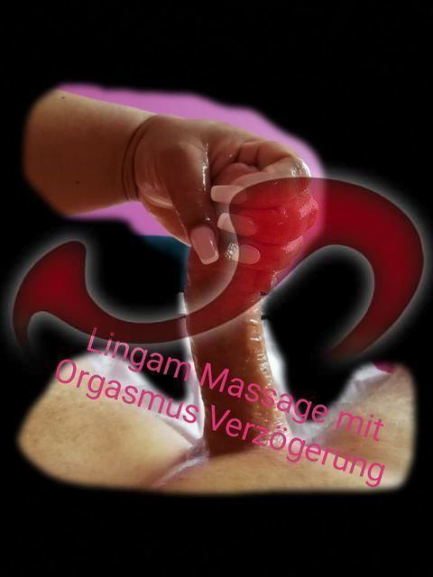 Girls | Models | Callgirls: Bild Maria Brown in Wals/Salzburg