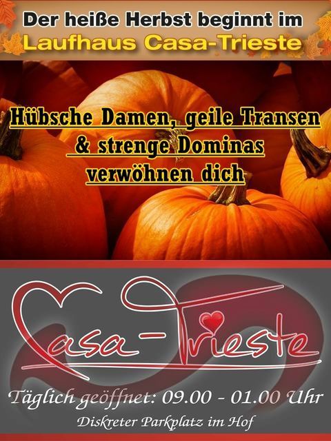 Laufhaus | Laufhäuser: Bild Laufhaus Casa-Trieste in Graz Laufhaus | Laufhäuser: Bild Laufhaus Casa-Trieste in Graz