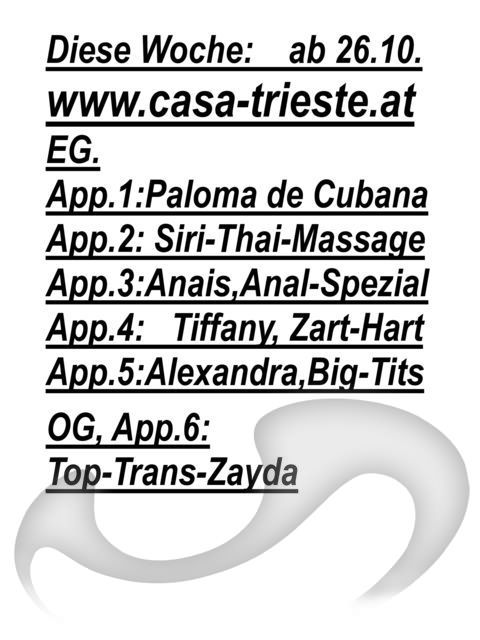 Laufhaus | Laufhäuser: Bild Laufhaus Casa-Trieste in Graz Laufhaus | Laufhäuser: Bild Laufhaus Casa-Trieste in Graz