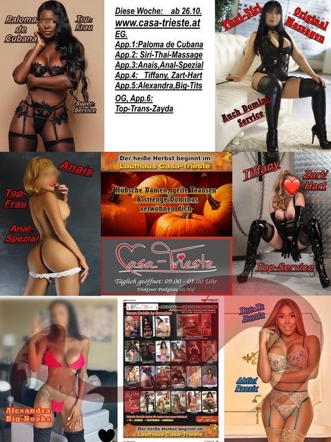 Laufhaus | Laufhäuser: Bild Laufhaus Casa-Trieste in Graz Laufhaus | Laufhäuser: Bild Laufhaus Casa-Trieste in Graz