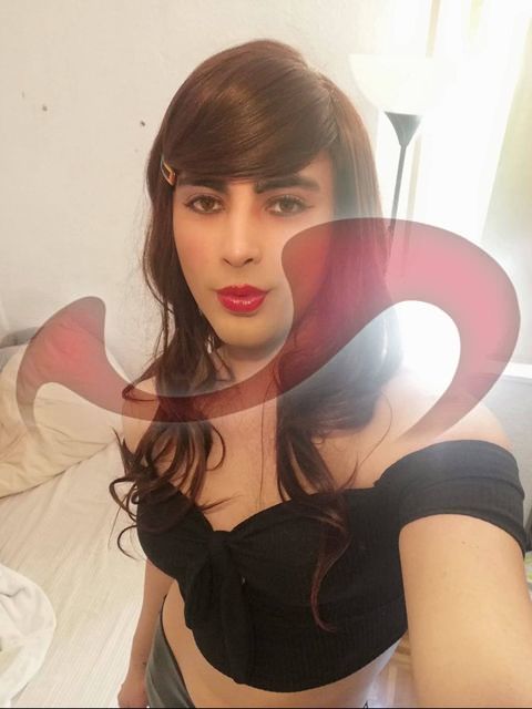 Transsexuelle | Shemales: Bild TS Valeria in Wien 