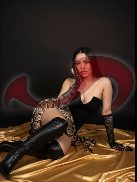 Girls | Models | Callgirls: Bild Daniela in Braunau