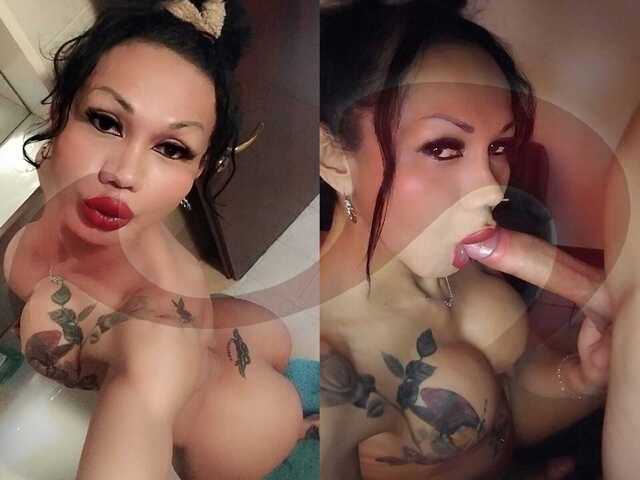 Transsexuelle | Shemales: Bild TS Adriana Paulett + Video in Sulz bei Gleisdorf 