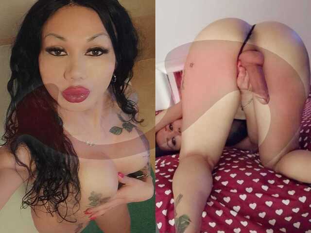 Transsexuelle | Shemales: Bild TS Adriana Paulett + Video in Sulz bei Gleisdorf 