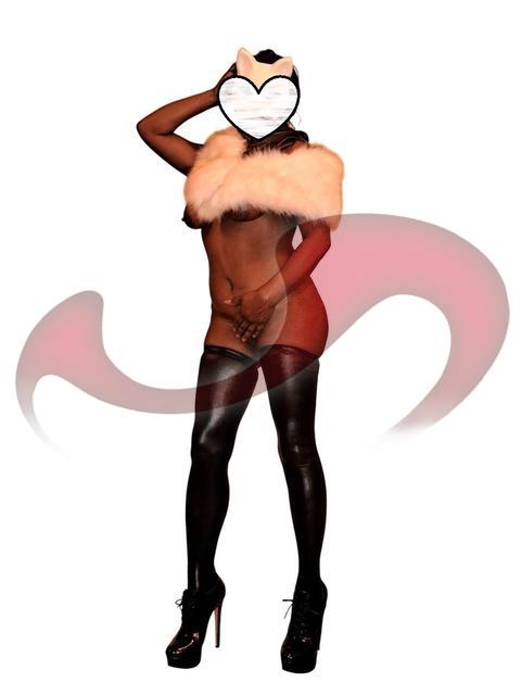 Girls | Models | Callgirls: Bild Jessica in Ried im Traunkreis