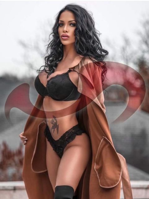 Girls | Models | Callgirls: Bild Cony Ferrara in Braunau