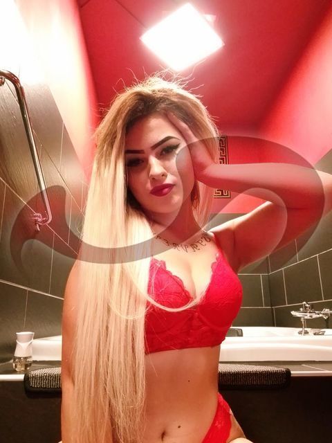 Girls | Models | Callgirls: Bild Kristina in Wien