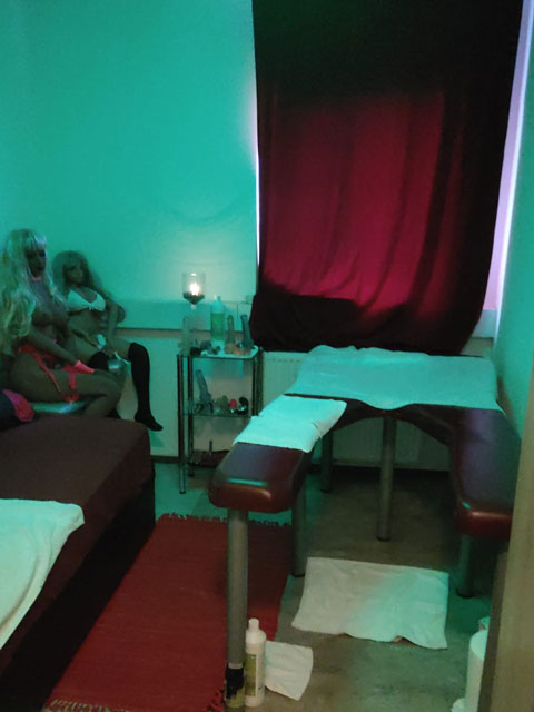 Girls | Models | Callgirls: Bild JANETT. 55, Jahre,  & NINA - PROFI - MASSEURINNEN in Linz