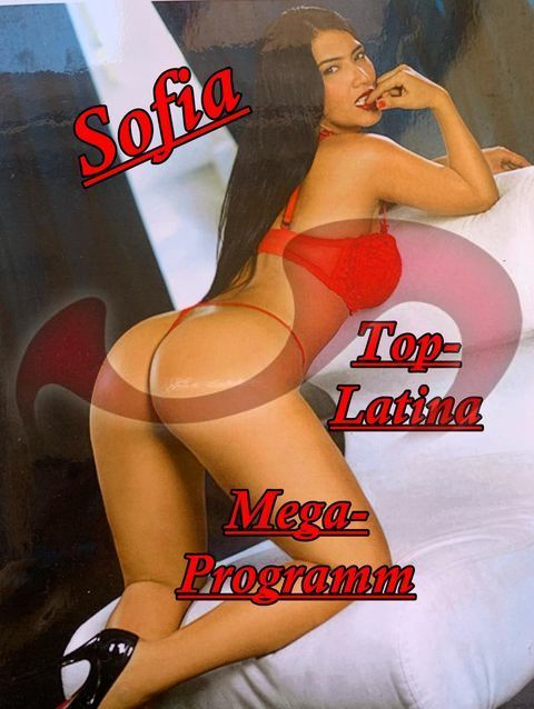 Girls | Models | Callgirls: Bild Sofia Top Latina NEU in Salzburg