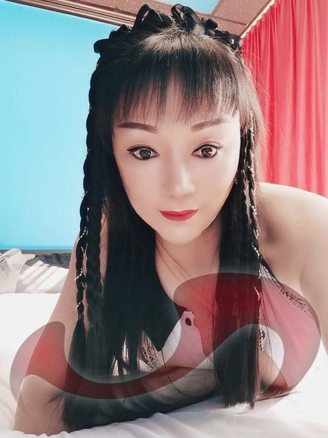 Girls | Models | Callgirls: Bild Alice, Hot Asia Girl ab sofort erstmalig im Laufhaus Liezen in Liezen