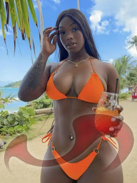 Laufhaus | Laufhuser: Bild Laufhaus Juchgasse in Wien