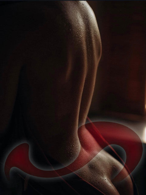 Girls | Models | Callgirls: Bild Amelia - NEU IM HAUS! in Linz