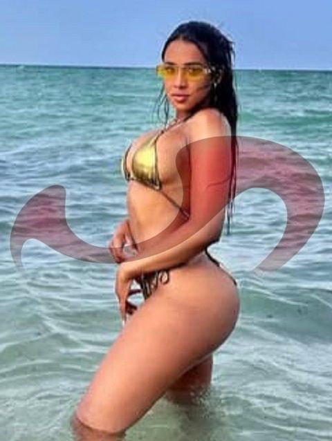 Girls | Models | Callgirls: Bild Lisa in Wien