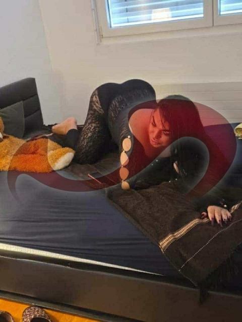 Laufhaus | Laufh�user: Bild Laufhaus Sexparadies in Wien