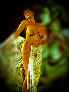  Eva 2  in Nieder&ouml;sterreich  / Krems , Gewerbeparkstra�e 23A 