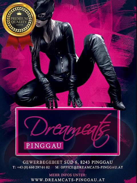 Dreamcats Pinggau bietet:  in Steiermark  / Pinggau  , Gewerbegebiet Süd 6