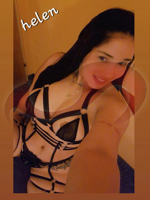 Helen-Latina in Steiermark / Pinggau , Gewerbegebiet Süd 6