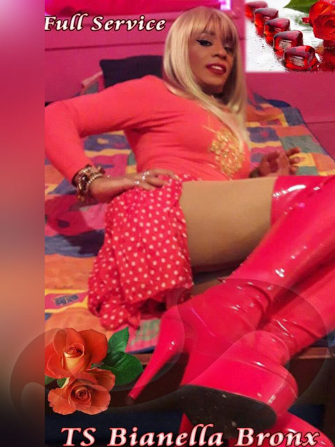 TS Bianella Bronx Aus Costa Rica in Niederösterreich / St. Valentin , Wiener Straße 28